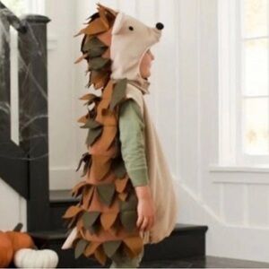 Pottery Barn Woodland Hedgehog Costume